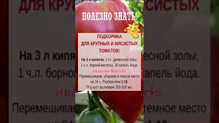 ПОЛЕЗНО ЗНАТЬ! Советы огородников №29 #shorts #рецепты #советы