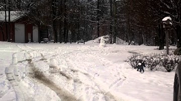 Tannerite vs snowman