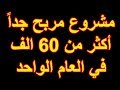 مشروع الصوب الزراعية على مساحة 400 متر لإنتاج الخضر للتصدير بربح أكثر من 60 ألف سنويًا