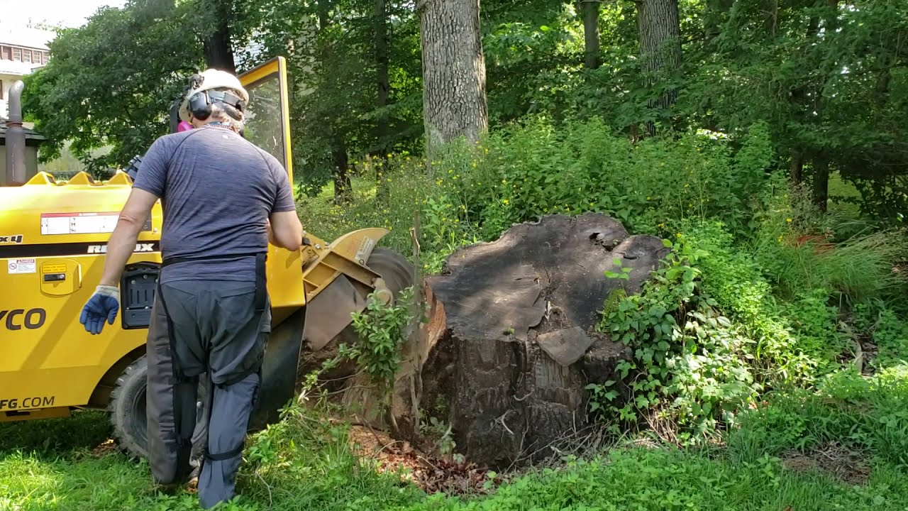 AR Gravette stump dons grinding,