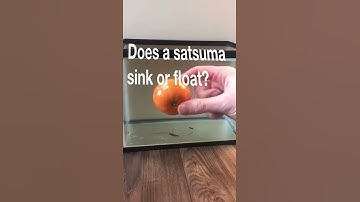 Does a satsuma sink or float? #shorts #sinkorfloat #coolscienceexperiments #stem