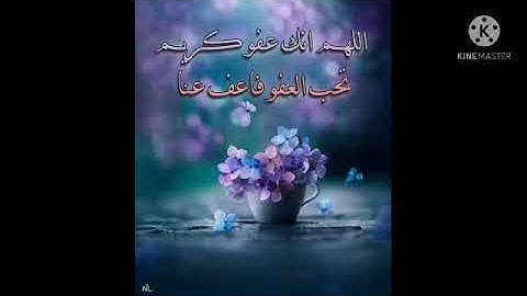 صلاه التراويح ودعاء حزين الليله السادسة والعشرون القارئ عمرو احمد البطل