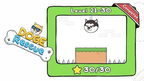 Level 21 to 30 - Doge Rescue: Draw to Save