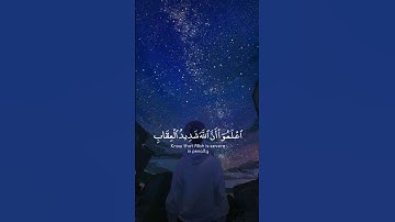 تلاوة هادئة تريح الأعصاب 😴🎧 القارئ : ماهر المعيقلي _ سورة : المائدة 💙❤️