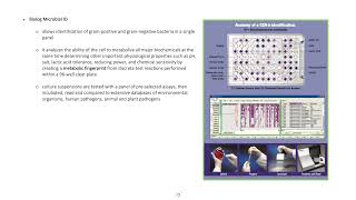 Biolog Microbial Id