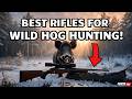 Top 5 Most Powerful and Reliable Wild Boar Hunting Rifles Today -Real Field Accuracy and Performance