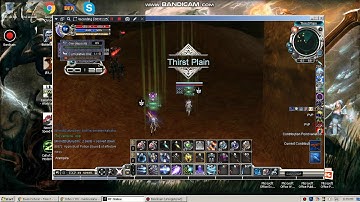 rf online (zephyr) with queenbee