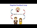 Understanding Feedback Loops