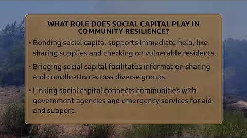 What Role Does Social Capital Play In Community Resilience? - Man vs. Disaster