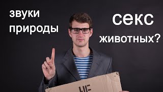 Как часто мы слышим брачный зов животных? #shorts