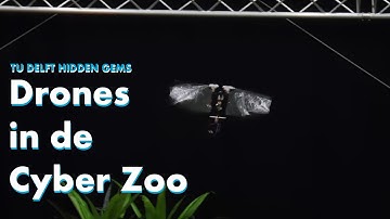 TU Delft Hidden Gems - Ontdek verschillende drones in de Cyber Zoo