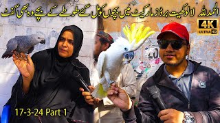 Lalukhet Exotic Hen and Rooster Birds Market Karachi | Rare and Unique Birds and Parrots |سوق الطيور