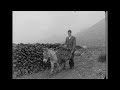 Mental health  the rural west ireland 1968