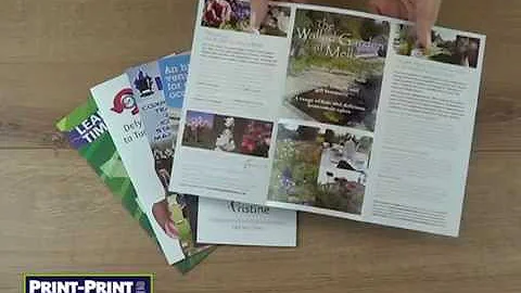 What is a tri-fold leaflet?