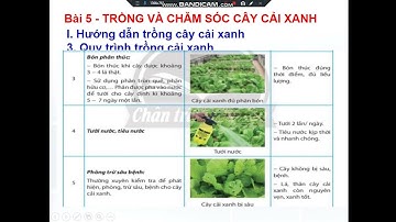 CN7 Bai 5  Trồng và chăm sóc cây cải xanh