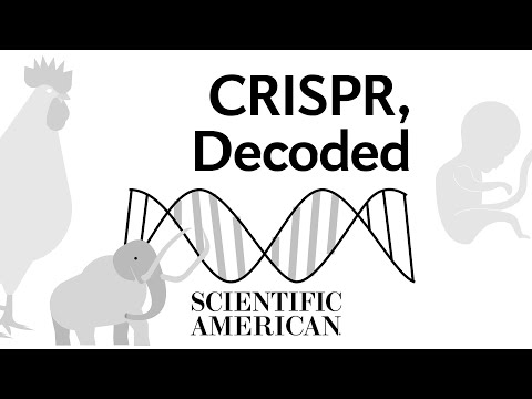 Video: Perbezaan Antara CRISPR Dan Enzim Sekatan