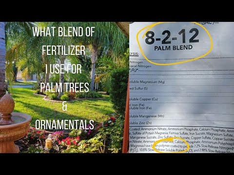 Video: Palma Frizzle Top - Prevenire l'effetto crespo sulle palme