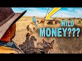 How ranchers make money with yearlings   real life example 