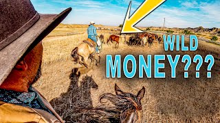 How Ranchers Make MONEY with Yearlings!  ( REAL LIFE EXAMPLE )