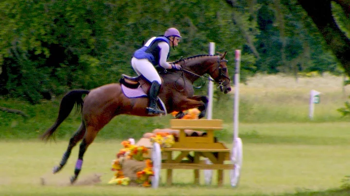 Kathleen Abrams  "Spintastic"  Ocala Summer Horse ...