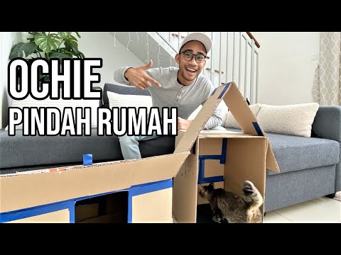 VLOG: Rumah Kucing DIY (Ochie)