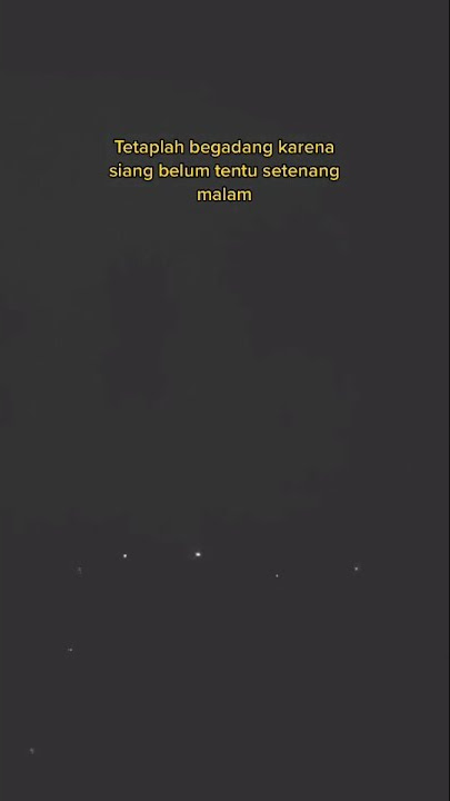 STORY WA 30 DETIK BEGADANG
