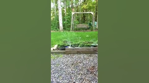 Exploding silly string