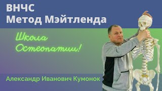 ВНЧС | Метод Мейтленда | Школа Остеопатии | Александр Иванович Кумонок