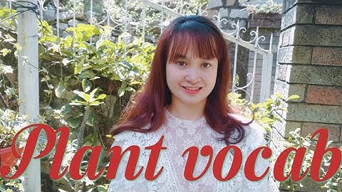 Từ vựng tiếng Anh về cây xanh | Plant vocabulary