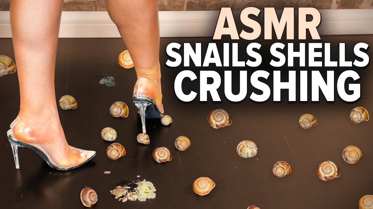 ASMR Snails Shells Crushing With Transparent High Heels YouTube