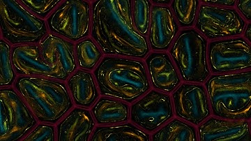 Bigger better 5 species slime mold simulation