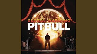 Video thumbnail of "Pitbull - Feel This Moment"