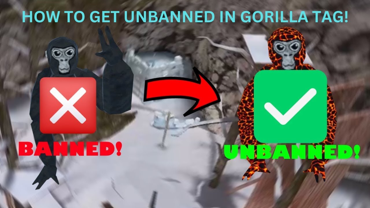 How to get UNBANNED in Gorilla Tag (BEST WAY) - YouTube