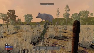 You spin me right round