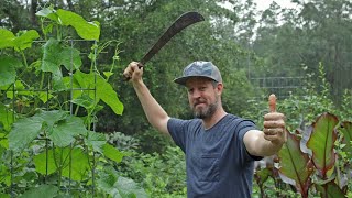 Maintaining Grocery Row Gardens (And My New Book on the System)