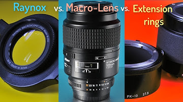 Raynox vs. Macro lens vs. Extension rings