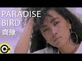 齊豫 Chyi Yu PARADISE BIRD Official Music Video 齊豫 Chyi Yu PARADISE BIRD Official Music Video