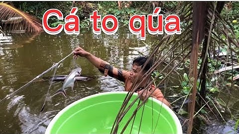 Đi giăng lưới mùa lũ tiếp tục các bạn ơi/Quốc Kiệt