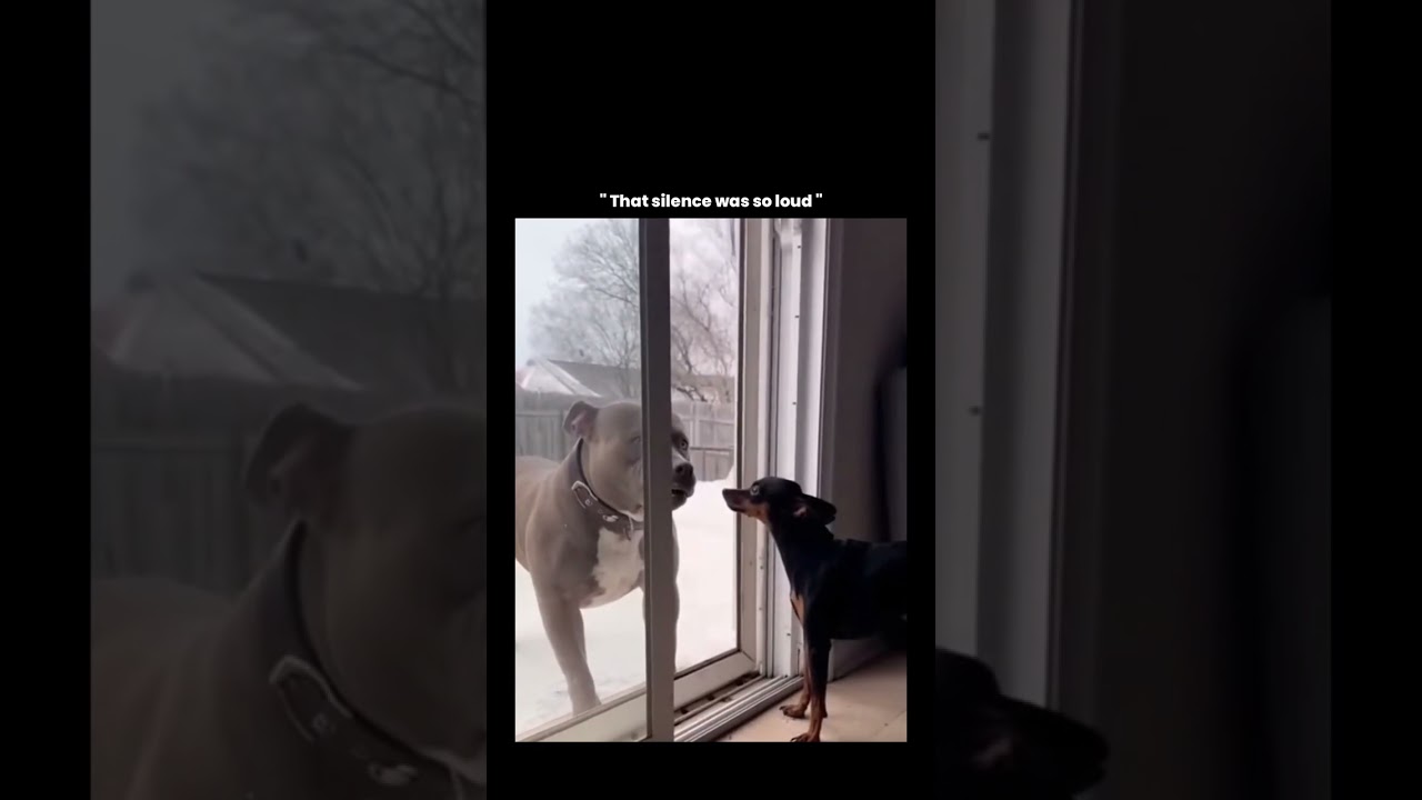 Caption this  — Motivational Growth YouTube video