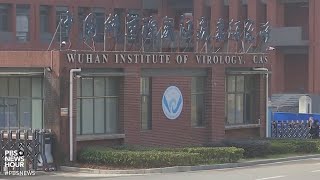 Famous Media Taking Second Look At Wuhan Lab Theories Wealth