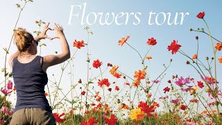 🌸 Flower Tour : les plantes fleuries dans mon jardin 🌿🌼🌷