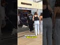 Las Vegas Strip: FREE Trams You MUST Use! #shorts