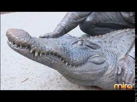 tv kanalları MIRA TV - LOS HP - EPISODE 8