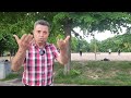 مردم آزاری در زرقان 