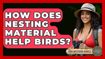 How Does Nesting Material Help Birds? - Bird Watching Diaries