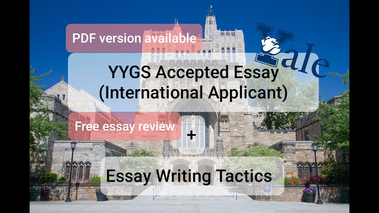 yale essays that got accepted