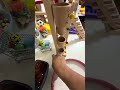 Marble Run ASMR ⭐ Drumming and soothing sounds of marbles 7