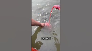 Câu cá bằng chất lỏng màu ĐỎ này? | #shorts