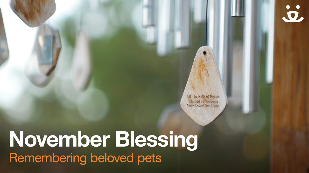 November 2022 Blessing from Angels Rest Best Friends Animal Sanctuary