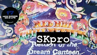 SKpro Red Hot Chili Peppers - Return of the Dream Canteen (мини обзор)!!!